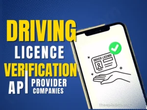 Driving Licence Verification API